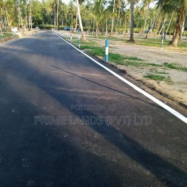 නයිවලින් - 211 බස් පාරට මුහුණළා බිම් කොටස්