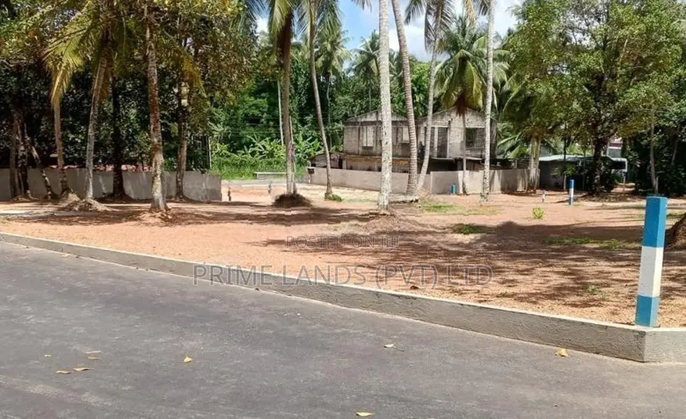 එයාපෝට් පාරට මුහුණළා දෙවළපොළින් බිම්කොටස්