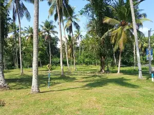 වේයන්ගොඩ අධිවේගී පිවිසුමට ළඟ තැනක්