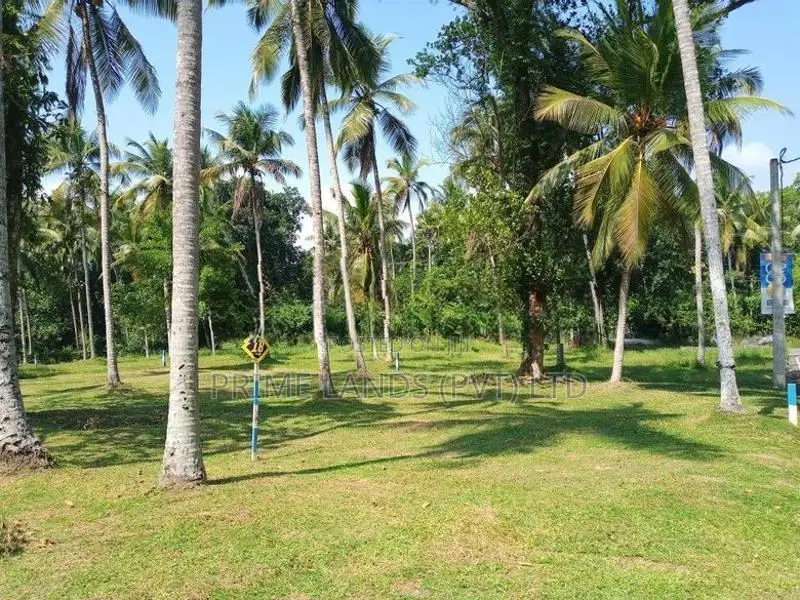 වේයන්ගොඩ අධිවේගී පිවිසුමට ළඟ තැනක්