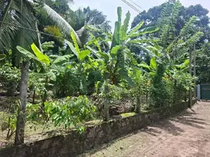 Land for Sale in Gampaha, Mudungoda