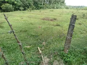 153 Perches Land for Sale in Bandaragama Millaniya .