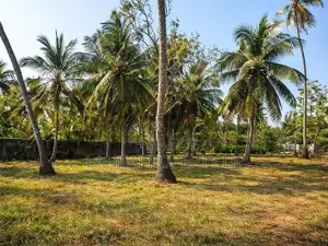 Valuable Land with House for Sale in Bowalawatte, Waikkal