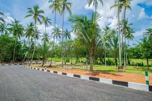 කැකනදුරෙන් වෙලකට මයිමිව ඉඩමක්