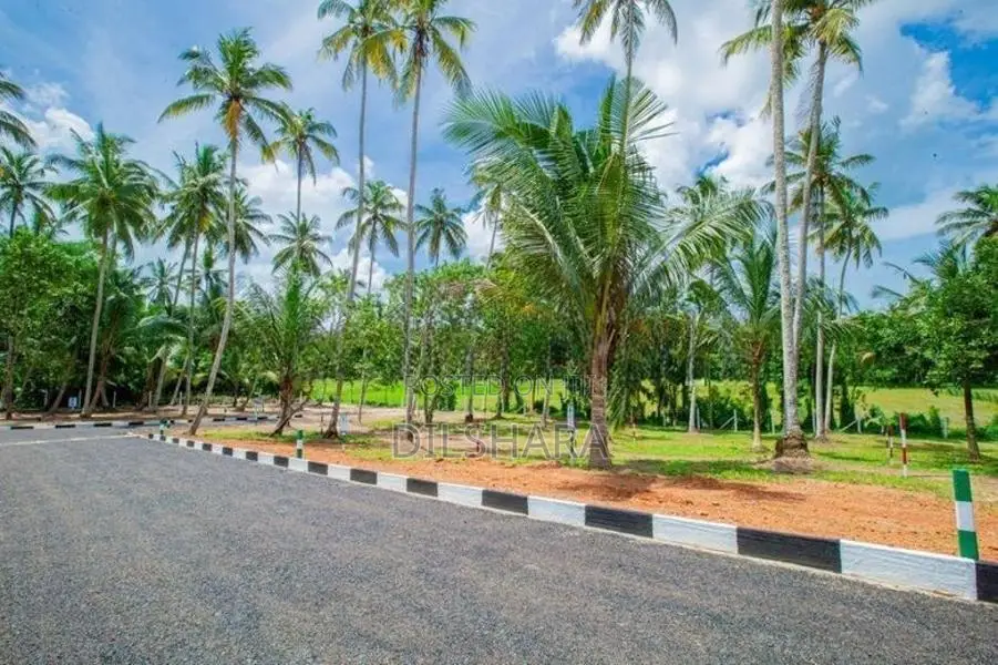කැකනදුරෙන් වෙලකට මයිමිව ඉඩමක්
