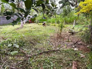 ඉඩමක් - කිරිඳිවැල