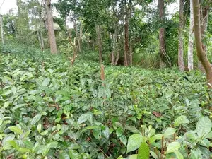 Land for Sale a Valuable Commercial in Peradeniya