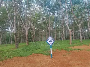 Land for Sale in Ahangama