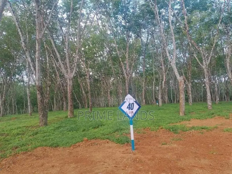 Land for Sale in Ahangama