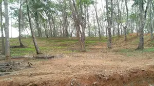 Ahangama Lands for Sale