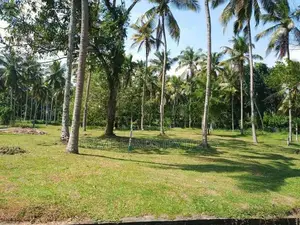 වේයන්ගොඩ අධිවේගී පිවිසුමට ළඟ තැනක්