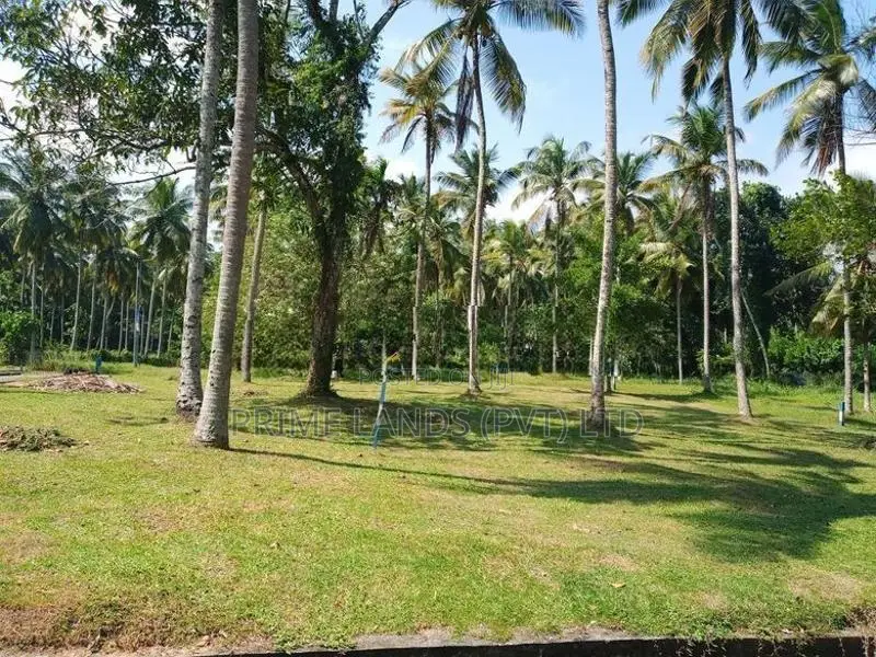 වේයන්ගොඩ අධිවේගී පිවිසුමට ළඟ තැනක්