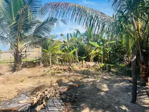 Land for Sale Akkaraipattu