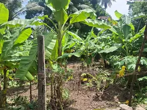 Land for Sale in Gampaha, Mudungoda