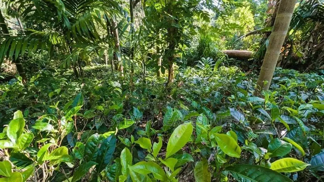 අත්තනගලු ඔයට මායිම්ව පර්චස් 53ක්