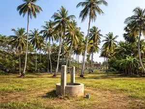 Valuable Land with House for Sale in Bowalawatte, Waikkal