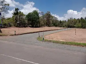 Beliatta Land for Sale