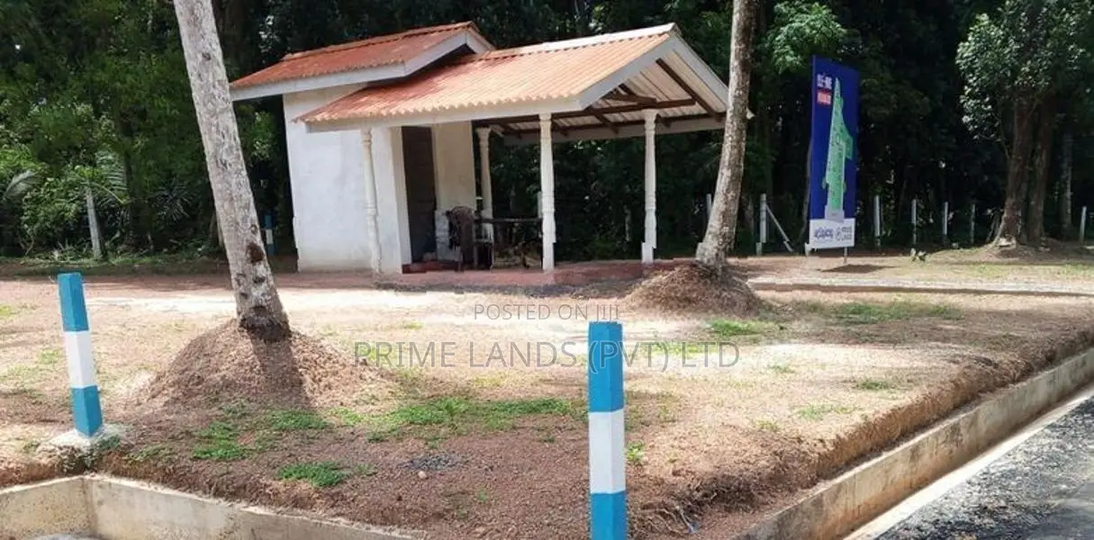 එයාපෝට් පාරට මුහුණළා දෙවළපොළින් බිම්කොටස්