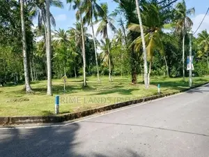 වේයන්ගොඩ අධිවේගී පිවිසුමට ළඟ තැනක්