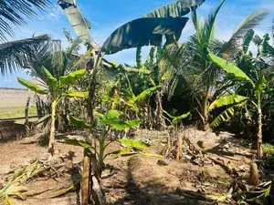 Land for Sale Akkaraipattu