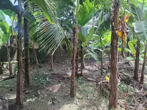 Land for Sale in Gampaha, Mudungoda