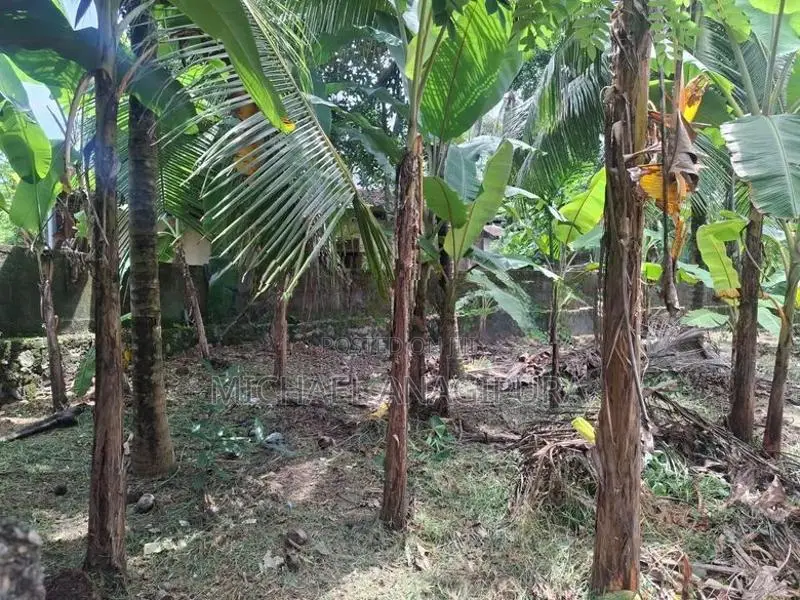 Land for Sale in Gampaha, Mudungoda