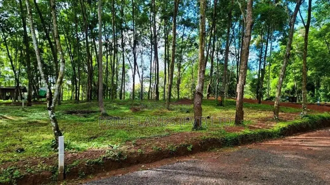 දිවුලපිටියෙන් බිම් කොටස්