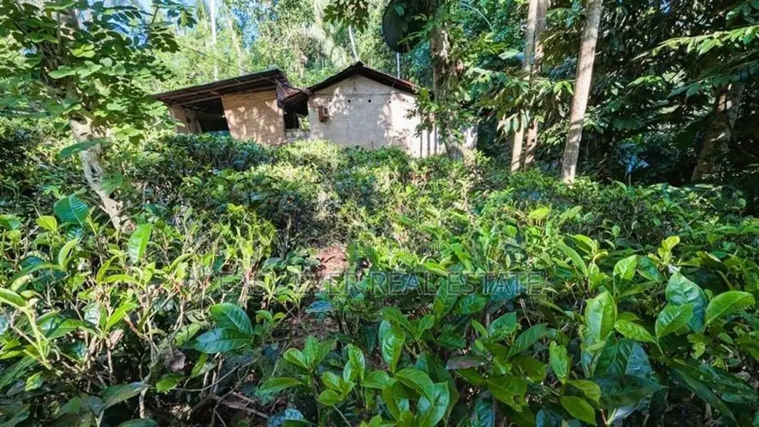 අත්තනගලු ඔයට මායිම්ව පර්චස් 53ක්