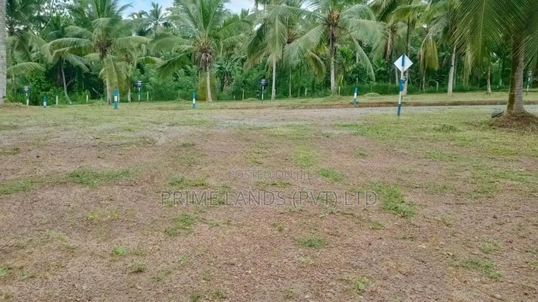 කඩවත 210 බස් පාරට ළගින් බිම් කොටස්