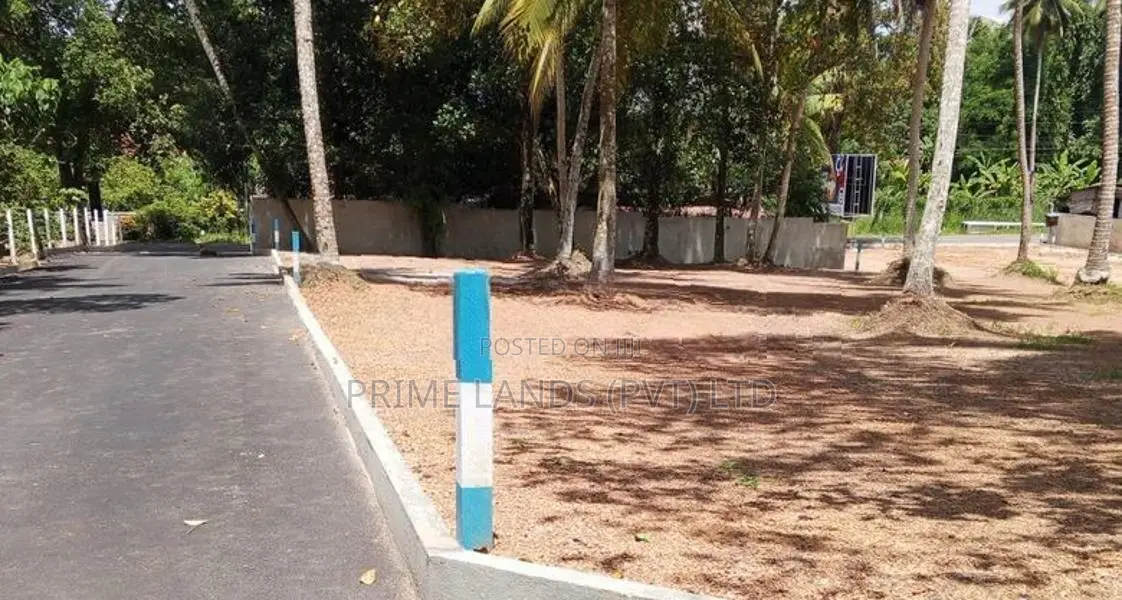 එයාපෝට් පාරට මුහුණළා දෙවළපොළින් බිම්කොටස්