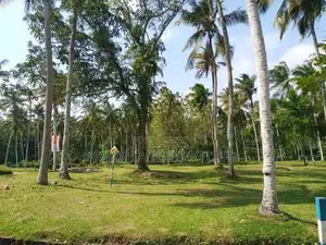 වේයන්ගොඩ අධිවේගී පිවිසුමට ළඟ තැනක්