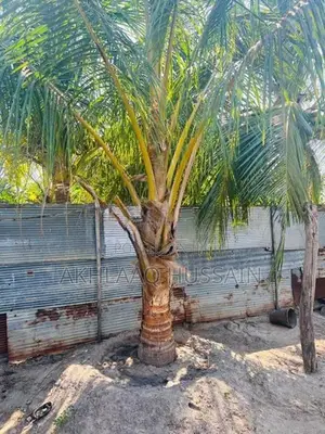 Land for Sale Akkaraipattu
