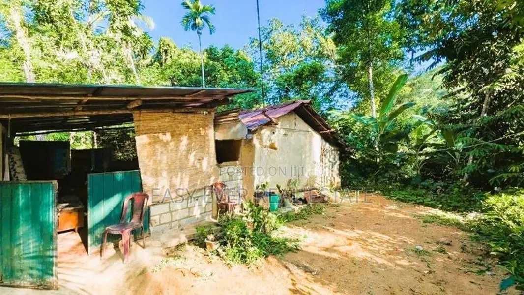 අත්තනගලු ඔයට මායිම්ව පර්චස් 53ක්