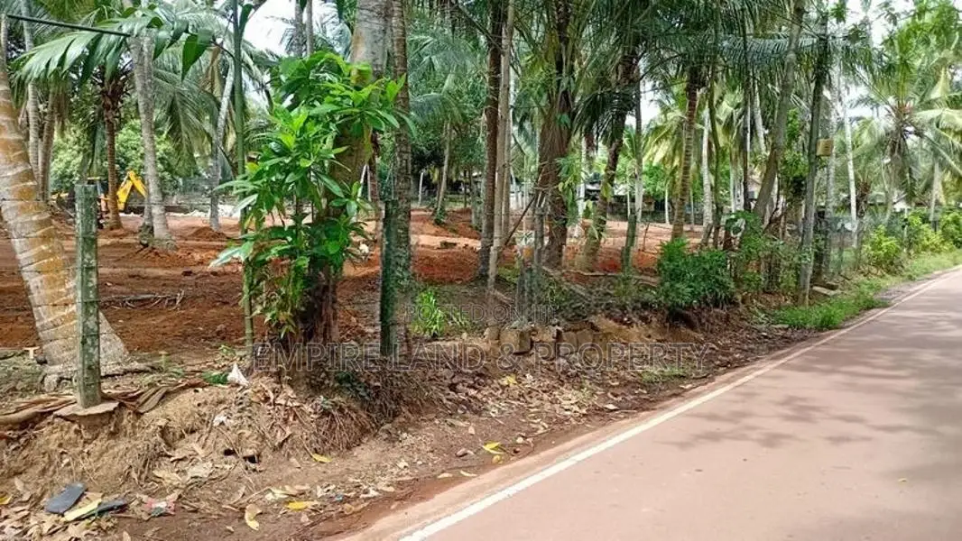 Kandana Town Luxury Land Plots for Sale Near Batagama
