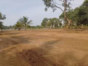 Land for Sale in Anuradhapura Nachchaduwa