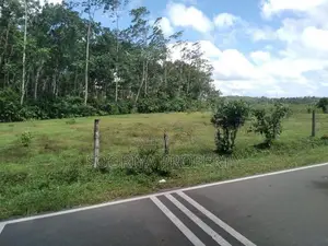153 Perches Land for Sale in Bandaragama Millaniya .
