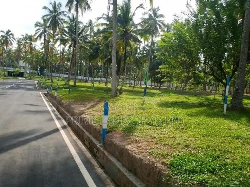 යක්කල නගරයෙන් සුපිරි බිම් කොටස්