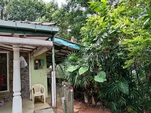 Land for Sale a Valuable Commercial in Peradeniya