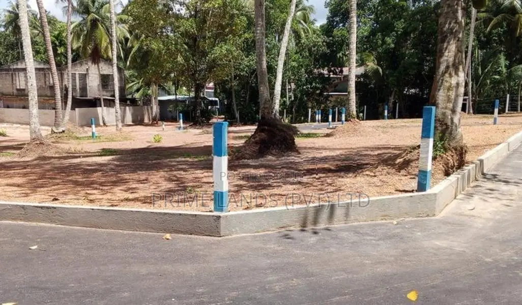 එයාපෝට් පාරට මුහුණළා දෙවළපොළින් බිම්කොටස්