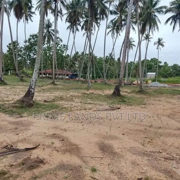 පැල්ලන්දෙණිය හන්දියෙන්ම සුපිරි ඉඩමක්