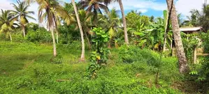 250 Perches land for sale at Ganemulla