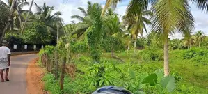 250 Perches land for sale at Ganemulla
