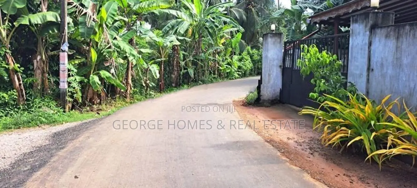 250 Perches land for sale at Ganemulla