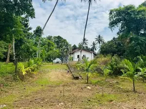 නිට්ටඹුව නගරයට 2km වෙල් යායකට මායිම් පර්චස් 40ක් ඉඩමක්