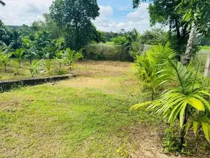 නිට්ටඹුව නගරයට 2km වෙල් යායකට මායිම් පර්චස් 40ක් ඉඩමක්