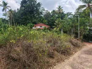 යක්කල – වටිනා ඉඩමක් විකිණීමට / UP 7313