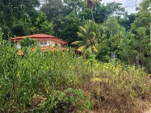 යක්කල – වටිනා ඉඩමක් විකිණීමට / UP 7313