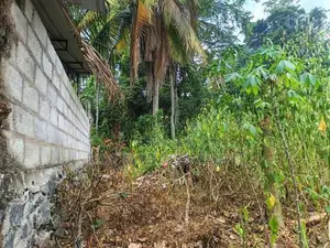 යක්කල – වටිනා ඉඩමක් විකිණීමට / UP 7313