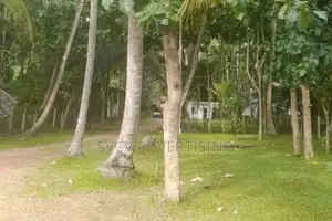 Massive 252 Perch Residential Land Katana