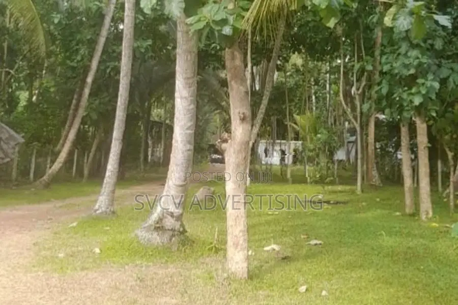 Massive 252 Perch Residential Land Katana